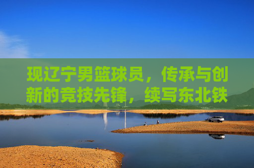 现辽宁男篮球员,传承与创新的竞技先锋,续写东北铁军的荣耀篇章