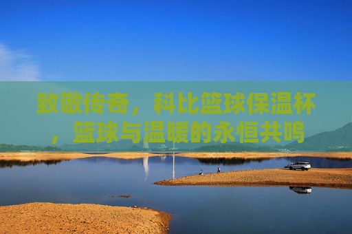 致敬传奇,科比篮球保温杯,篮球与温暖的永恒共鸣