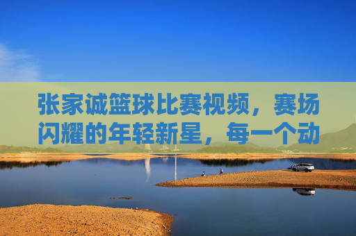 张家诚篮球比赛视频,赛场闪耀的年轻新星,每一个动作都充满力量
