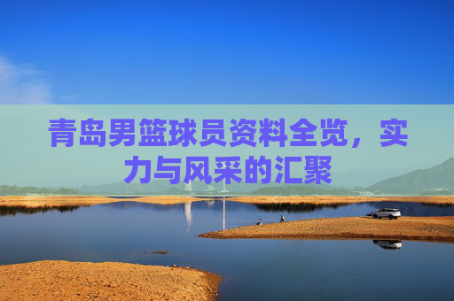 青岛男篮球员资料全览,实力与风采的汇聚