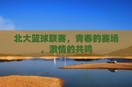 北大篮球联赛,青春的赛场,激情的共鸣