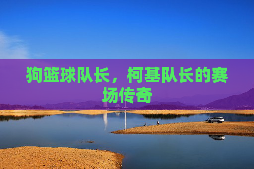 狗篮球队长,柯基队长的赛场传奇