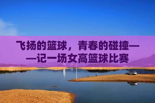 飞扬的篮球,青春的碰撞——记一场女高篮球比赛