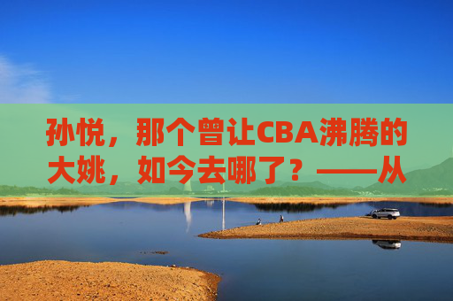 孙悦，那个曾让CBA沸腾的大姚，如今去哪了？——从篮球场到退役后的隐身之路