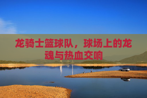 龙骑士篮球队，球场上的龙魂与热血交响
