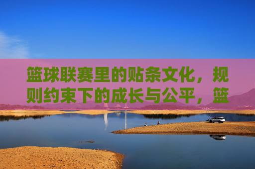 篮球联赛里的贴条文化，规则约束下的成长与公平，篮球联赛的贴条文化，规则约束下的成长与公平