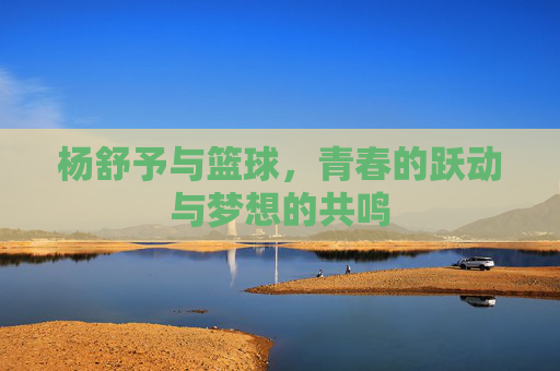 杨舒予与篮球,青春的跃动与梦想的共鸣