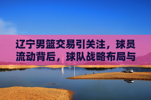 辽宁男篮交易引关注,球员流动背后,球队战略布局与未来展望
