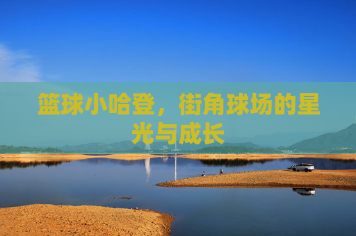 篮球小哈登，街角球场的星光与成长