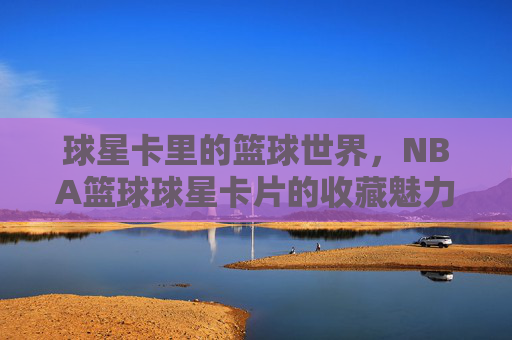 球星卡里的篮球世界,NBA篮球球星卡片的收藏魅力与时代价值