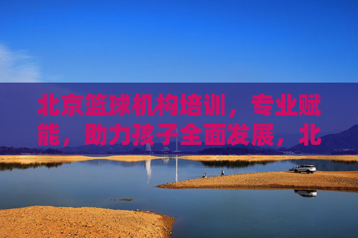 北京篮球机构培训，专业赋能，助力孩子全面发展，北京篮球机构培训，专业赋能，助力孩子全面发展
