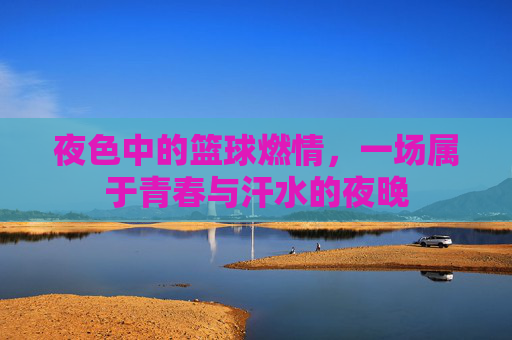 夜色中的篮球燃情,一场属于青春与汗水的夜晚