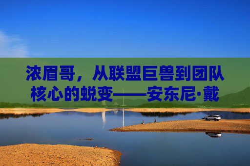 浓眉哥，从联盟巨兽到团队核心的蜕变——安东尼·戴维斯的赛场传奇与球队贡献
