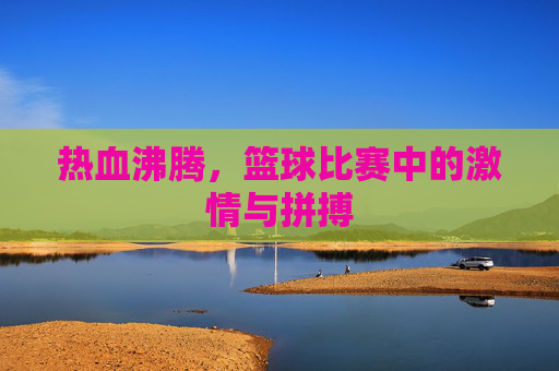 热血沸腾,篮球比赛中的激情与拼搏