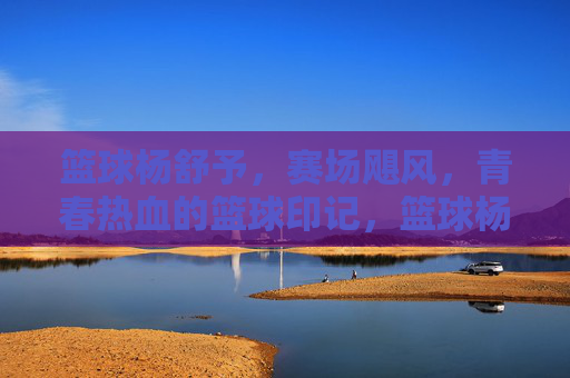 篮球杨舒予，赛场飓风，青春热血的篮球印记，篮球杨舒予，赛场飓风，青春热血的篮球印记