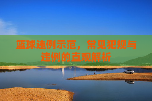篮球违例示范,常见犯规与违例的直观解析