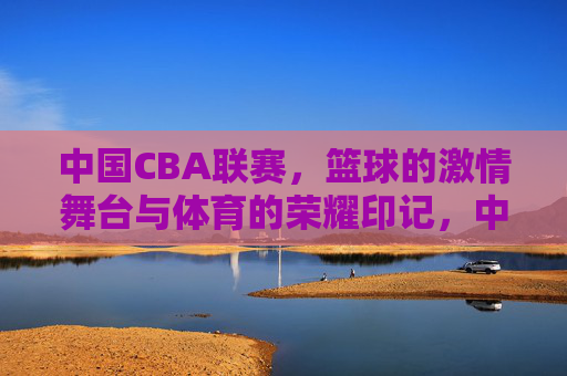 中国CBA联赛,篮球的激情舞台与体育的荣耀印记,中国CBA联赛,篮球的激情舞台与体育的荣耀印记
