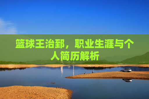 篮球王治郅,职业生涯与个人简历解析