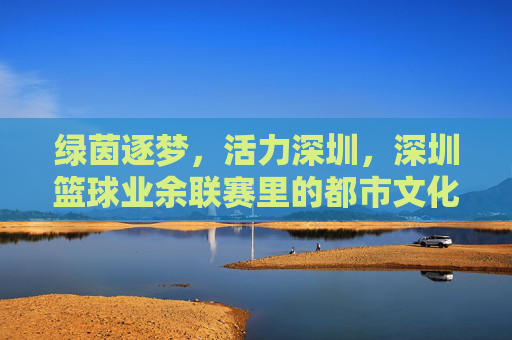绿茵逐梦,活力深圳,深圳篮球业余联赛里的都市文化图景
