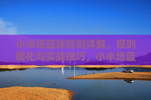 小半场篮球规则详解，规则简化与实战技巧，小半场篮球规则详解，规则简化与实战技巧