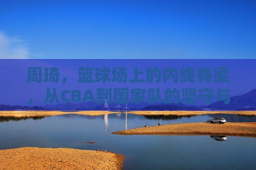 周琦,篮球场上的内线脊梁,从CBA到国家队的坚守与成长,周琦,篮球场上的内线脊梁,从CBA到国家队的坚守与成长