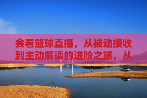 会看篮球直播,从被动接收到主动解读的进阶之旅,从被动到主动,篮球直播的进阶解读之旅