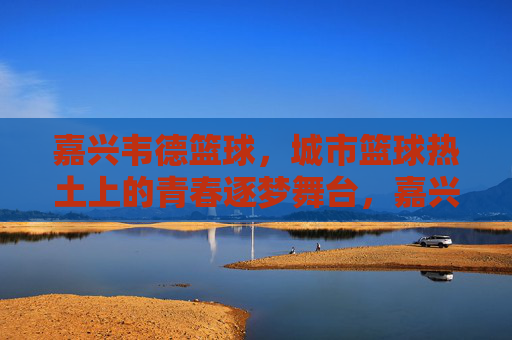 嘉兴韦德篮球，城市篮球热土上的青春逐梦舞台，嘉兴韦德篮球，城市篮球热土上的青春逐梦舞台