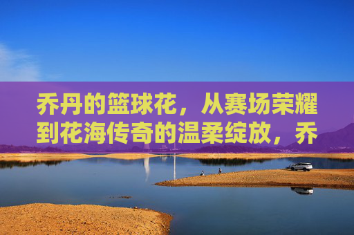 乔丹的篮球花,从赛场荣耀到花海传奇的温柔绽放,乔丹的篮球花,从赛场荣耀到花海传奇的温柔绽放