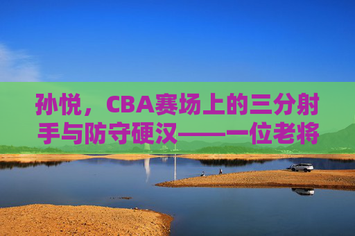 孙悦,CBA赛场上的三分射手与防守硬汉——一位老将的篮球传奇与坚守,孙悦,CBA赛场上的三分射手与防守硬汉——一位老将的篮球传奇与坚守