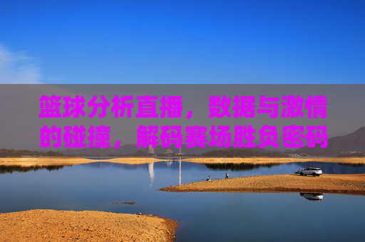 篮球分析直播，数据与激情的碰撞，解码赛场胜负密码，篮球分析直播，数据与激情的碰撞，解码赛场胜负密码