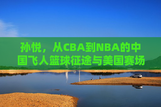 孙悦，从CBA到NBA的中国飞人篮球征途与美国赛场的风云，孙悦，从CBA到NBA的中国飞人篮球征途与美国赛场风云