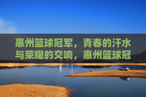 惠州篮球冠军,青春的汗水与荣耀的交响,惠州篮球冠军,青春的汗水与荣耀的交响