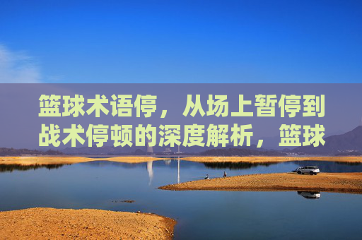 篮球术语停,从场上暂停到战术停顿的深度解析,篮球术语停,从场上暂停到战术停顿的深度解析