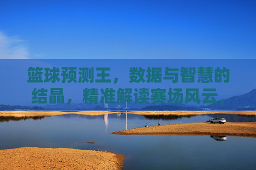 篮球预测王,数据与智慧的结晶,精准解读赛场风云,篮球预测王,数据与智慧的结晶,精准解读赛场风云