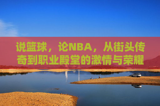 说篮球，论NBA，从街头传奇到职业殿堂的激情与荣耀