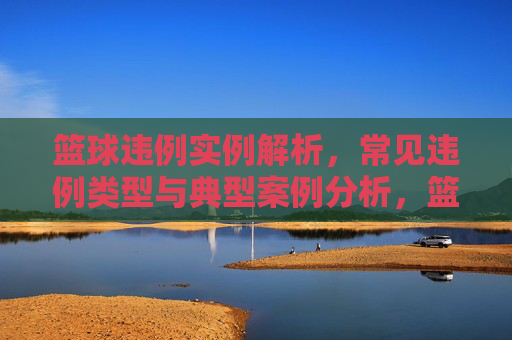 篮球违例实例解析,常见违例类型与典型案例分析,篮球违例实例解析,常见类型与典型案例分析
