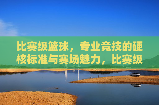 比赛级篮球,专业竞技的硬核标准与赛场魅力,比赛级篮球,专业竞技的硬核标准与赛场魅力