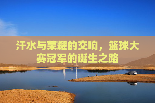 汗水与荣耀的交响，篮球大赛冠军的诞生之路