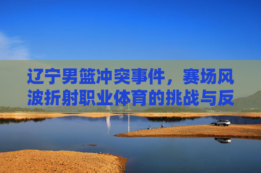 辽宁男篮冲突事件，赛场风波折射职业体育的挑战与反思
