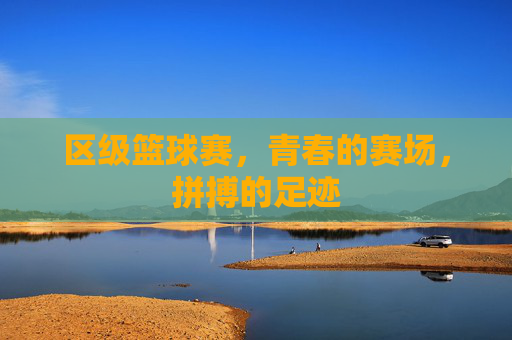 区级篮球赛,青春的赛场,拼搏的足迹