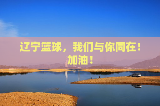 辽宁篮球，我们与你同在！加油！