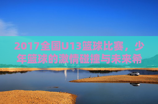 2017全国U13篮球比赛,少年篮球的激情碰撞与未来希望,2017全国U13篮球比赛,少年篮球的激情碰撞与未来希望