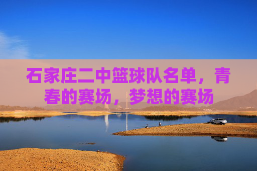 石家庄二中篮球队名单，青春的赛场，梦想的赛场