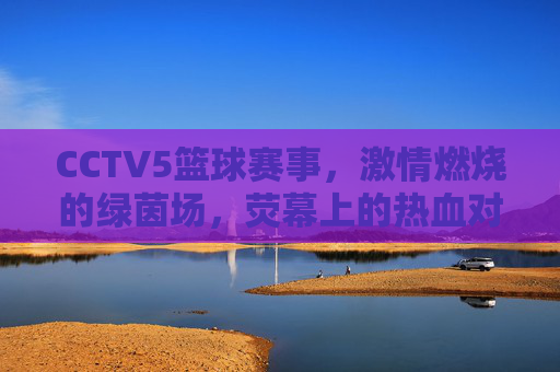 CCTV5篮球赛事,激情燃烧的绿茵场,荧幕上的热血对决