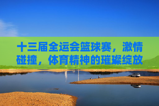 十三届全运会篮球赛,激情碰撞,体育精神的璀璨绽放,十三届全运会篮球赛,激情碰撞与体育精神的璀璨绽放