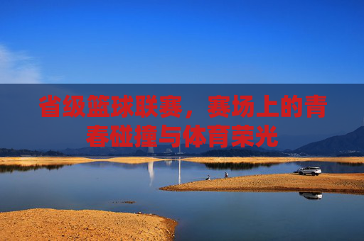 省级篮球联赛，赛场上的青春碰撞与体育荣光