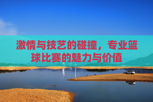 激情与技艺的碰撞,专业篮球比赛的魅力与价值