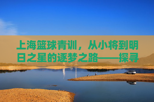 上海篮球青训，从小将到明日之星的逐梦之路——探寻城市篮球发展的青春密码