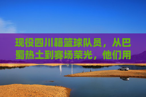 现役四川籍篮球队员，从巴蜀热土到赛场荣光，他们用汗水书写篮球传奇