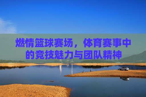 燃情篮球赛场，体育赛事中的竞技魅力与团队精神